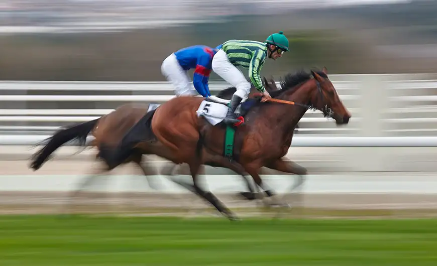 Luxury Chauffeur Services for Derby Race Day